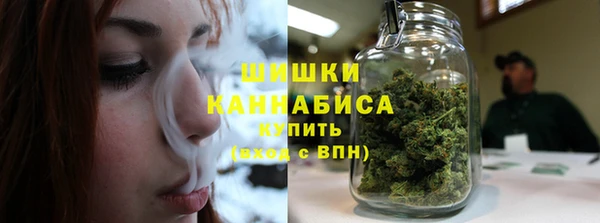 прущая мука Богородицк