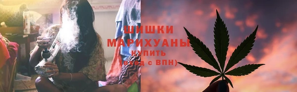 спиды Богородск