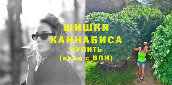 прущая мука Богородицк