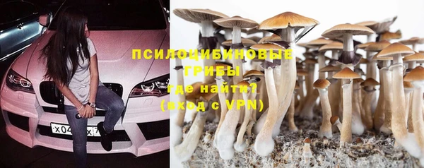 прущие крисы Белоозёрский