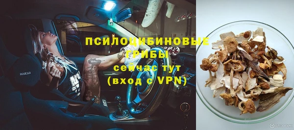 mdpv Белокуриха
